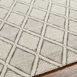Hauteloom Aeron SNVBAERONA1 Cream Woven/Flatwoven Cotton Rug