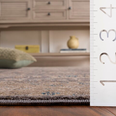 safavieh clearance sophia sof330b light grey rug