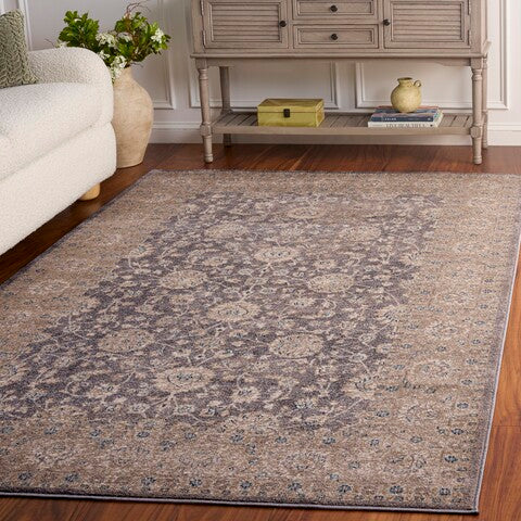 safavieh clearance sophia sof330b light grey rug