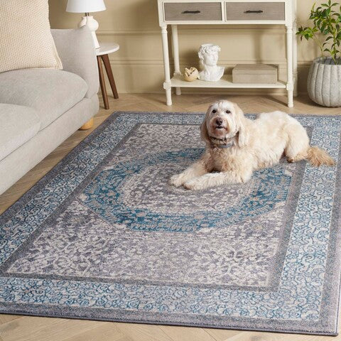 safavieh clearance sophia sof365a light grey rug
