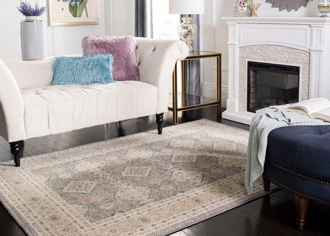 safavieh clearance sophia sof366b light grey rug
