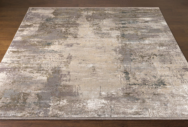 surya rug co solar sor 2300 taupe rug