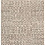 safavieh clearance sisal performance spf100b beige rug