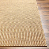 Hauteloom Zeta SPMDZETA8A1 Tan Machine Made Polypropylene Rug