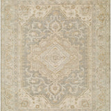 surya sakarya sry 2303 light taupe rug