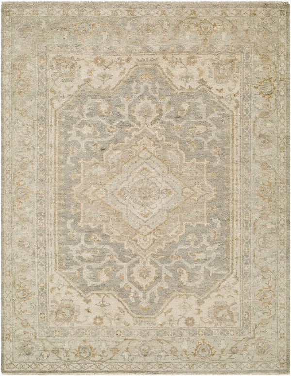 surya sakarya sry 2303 light taupe rug