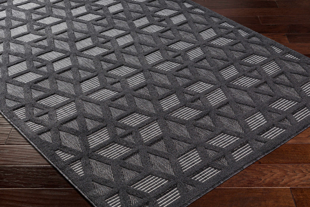 Hauteloom Nuri SSAMNURICA1 Black Machine Made Polypropylene Rug