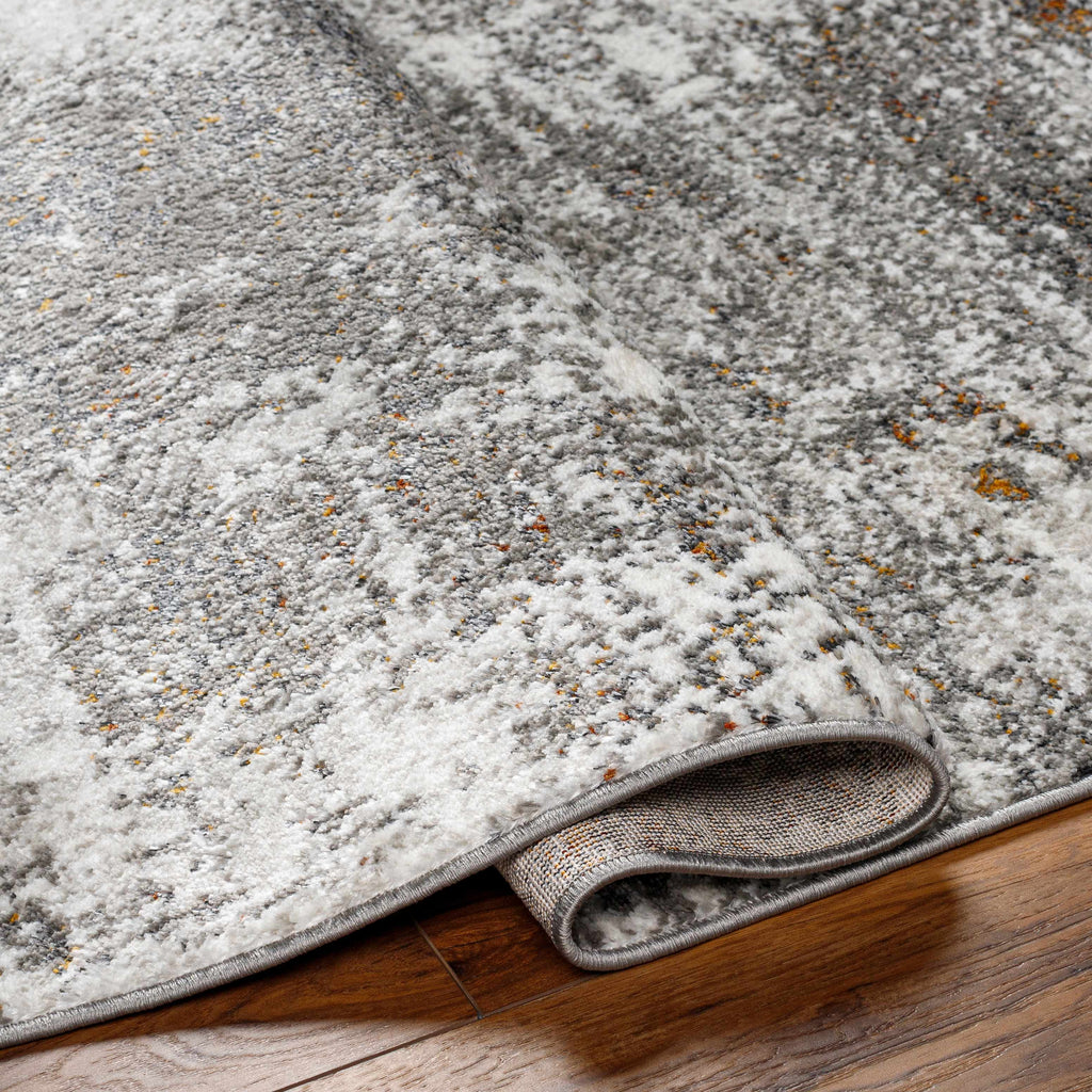 Hauteloom Duval SSFBDUVALA2 Light Gray Machine Made Polyester Rug