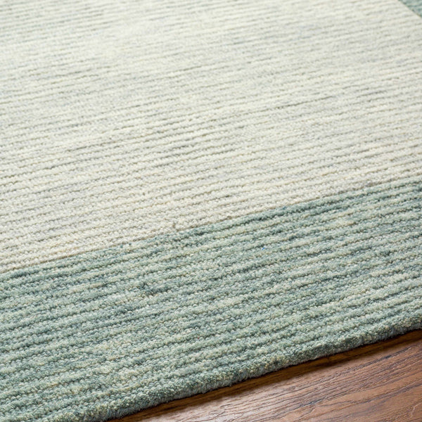 Hauteloom Amadi SSLCAMADIA3 Light Gray Hand Tufted Wool Rug