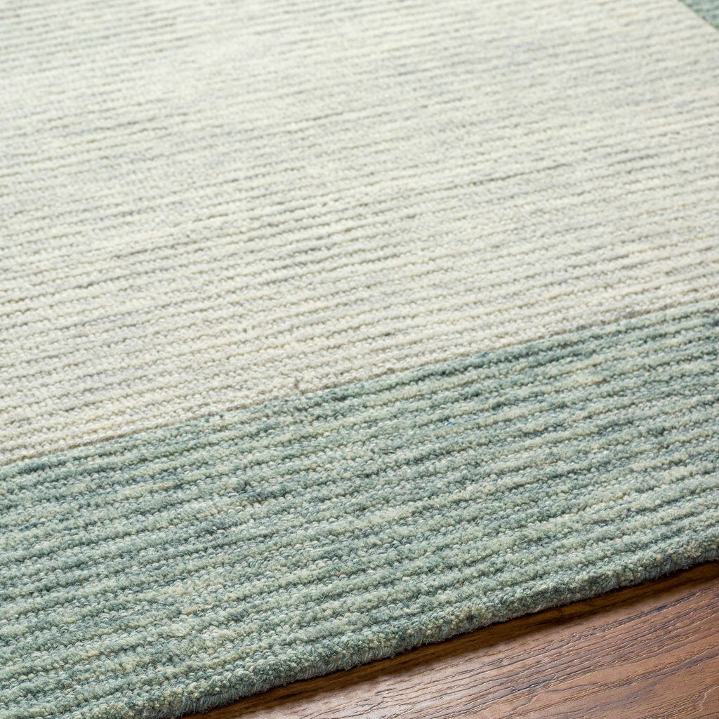 Hauteloom Amadi SSLCAMADIA3 Light Gray Hand Tufted Wool Rug