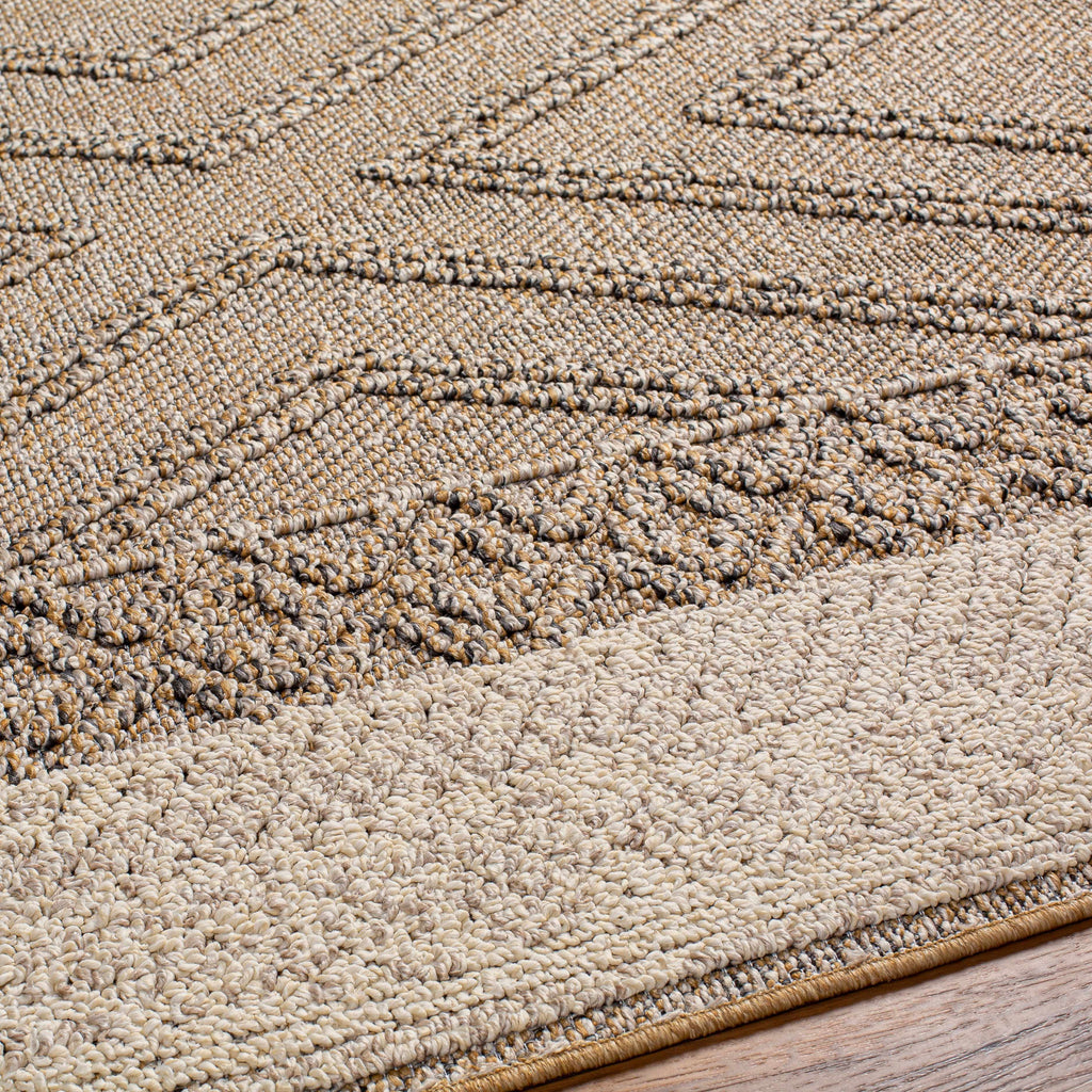 Hauteloom Areli SSSBARELIA1 Black Machine Made Polypropylene Rug
