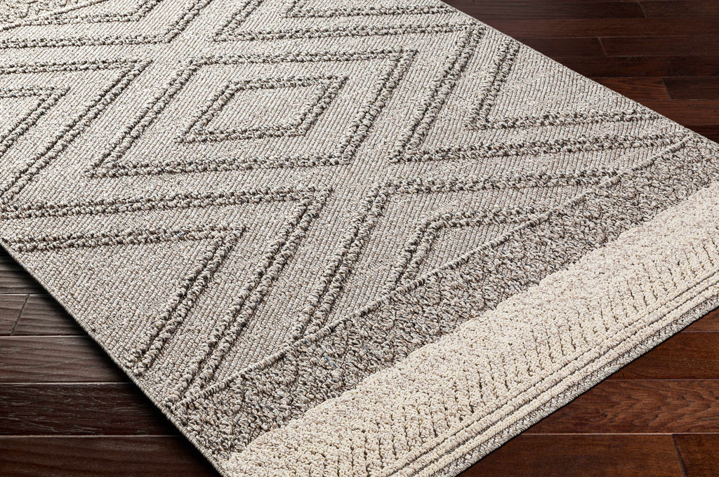 Hauteloom Areli SSSBARELIA4 Taupe Machine Made Polypropylene Rug