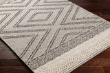 Hauteloom Areli SSSBARELIA4 Taupe Machine Made Polypropylene Rug