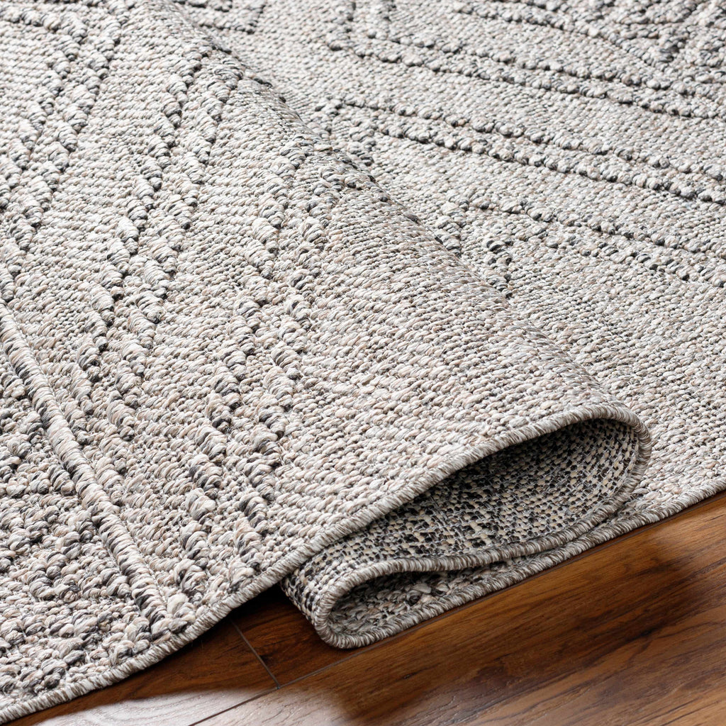 Hauteloom Areli SSSBARELIA4 Taupe Machine Made Polypropylene Rug
