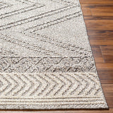 Hauteloom Areli SSSBARELIA4 Taupe Machine Made Polypropylene Rug