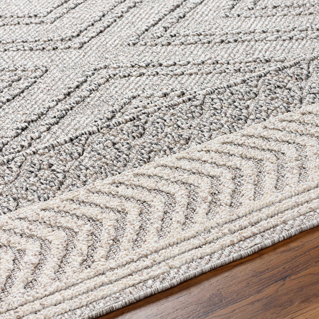 Hauteloom Areli SSSBARELIA4 Taupe Machine Made Polypropylene Rug