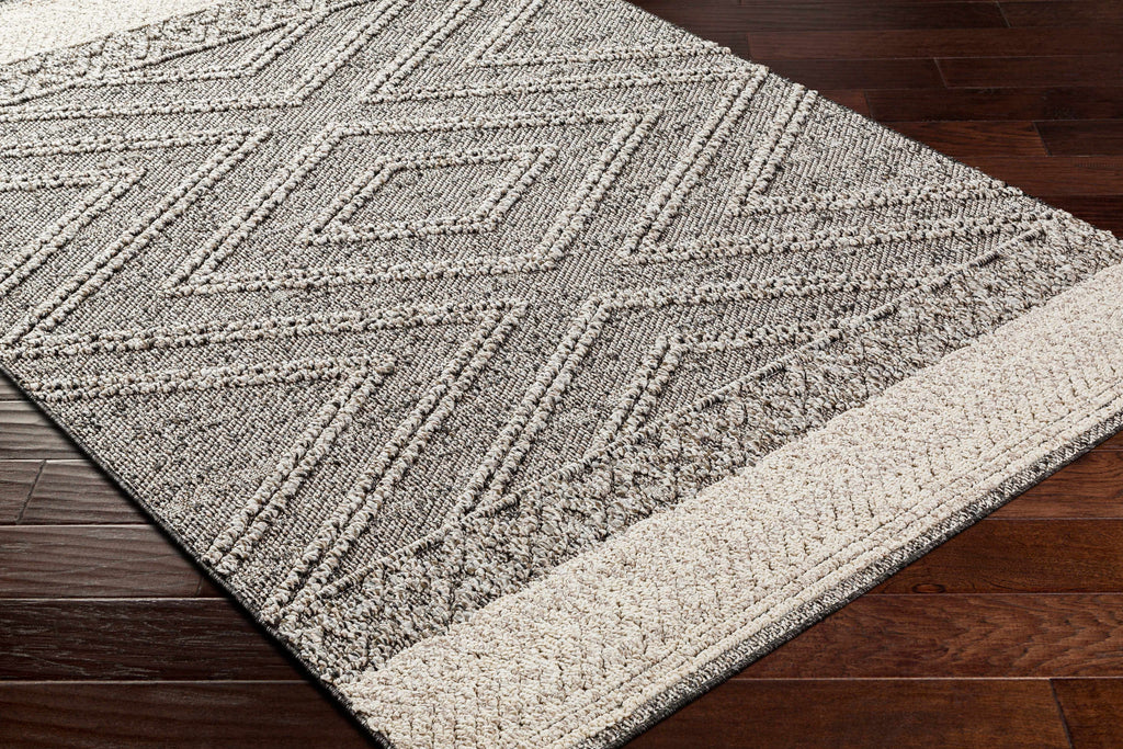Hauteloom Areli SSSBARELIA5 Black Machine Made Polypropylene Rug