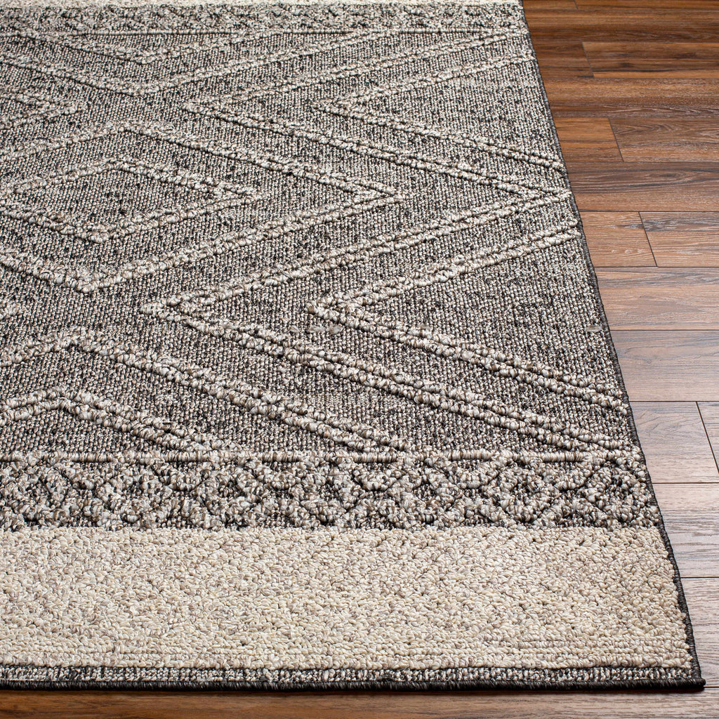 Hauteloom Areli SSSBARELIA5 Black Machine Made Polypropylene Rug
