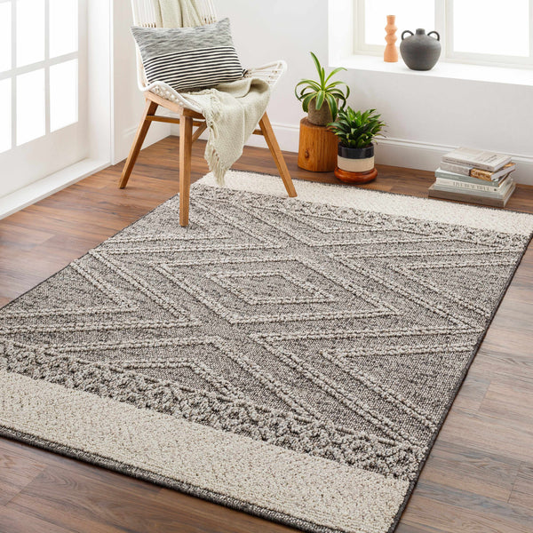 Hauteloom Areli SSSBARELIA5 Black Machine Made Polypropylene Rug