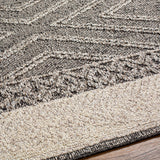 Hauteloom Areli SSSBARELIA5 Black Machine Made Polypropylene Rug