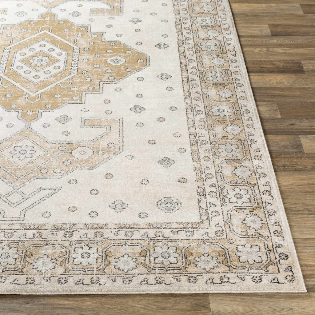 Hauteloom Southwark STHWR Charcoal Machine Made Polypropylene Rug