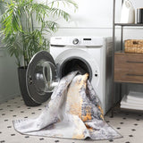 Safavieh Clearance Santa Monica STM803F Grey Rug