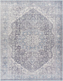 Hauteloom Tavas TAVA Charcoal Machine Made Chenille-Polyester Rug