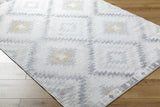 Hauteloom Tyipa TGCSKA1 Cream Machine Made Polypropylene Rug