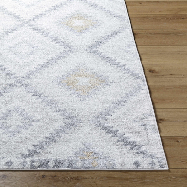 Hauteloom Tyipa TGCSKA1 Cream Machine Made Polypropylene Rug