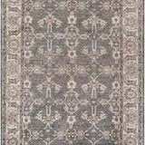 surya rug co theodora tho 3001 taupe rug