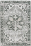 Safavieh Clearance Tucson TSN102F Grey Rug