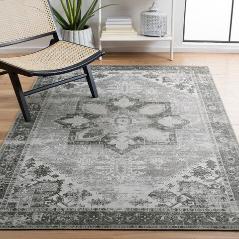 Safavieh Clearance Tucson TSN102F Grey Rug