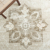 safavieh clearance tucson tsn102w sage rug