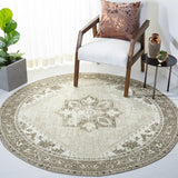 safavieh clearance tucson tsn102w sage rug