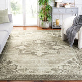 safavieh clearance tucson tsn102w sage rug