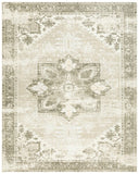 safavieh clearance tucson tsn102w sage rug