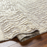 surya tunus tun 2310 taupe rug
