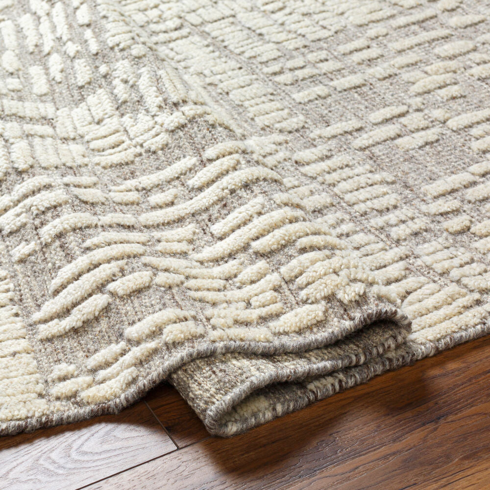 surya tunus tun 2310 taupe rug