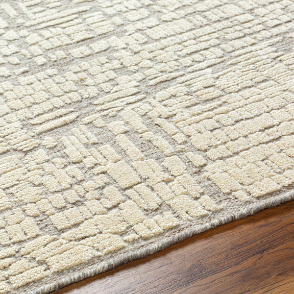 surya tunus tun 2310 taupe rug