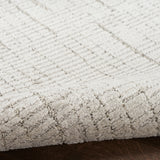 nourison andes and06 silver rug