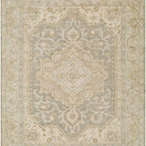 surya sakarya sry 2303 light taupe rug