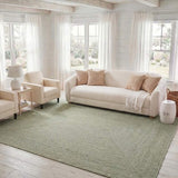 safavieh clearance braided bra260w light green rug