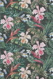 addison mayfield amf201 midnight rug