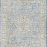 surya once upon a time oat 2300 light gray rug