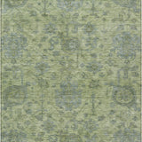 addison chantille acn1105 aloe rug
