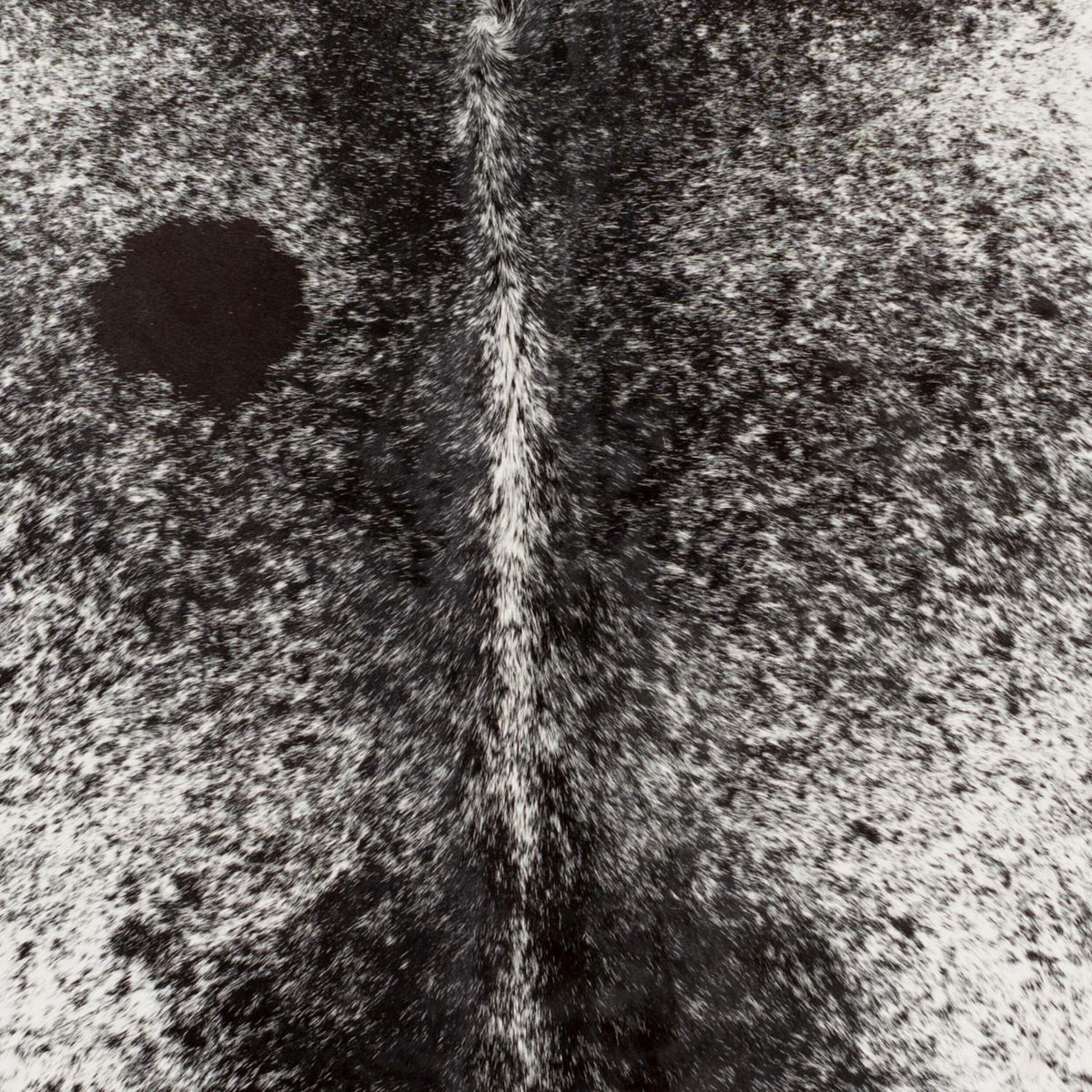surya easton eas 4000 black rug