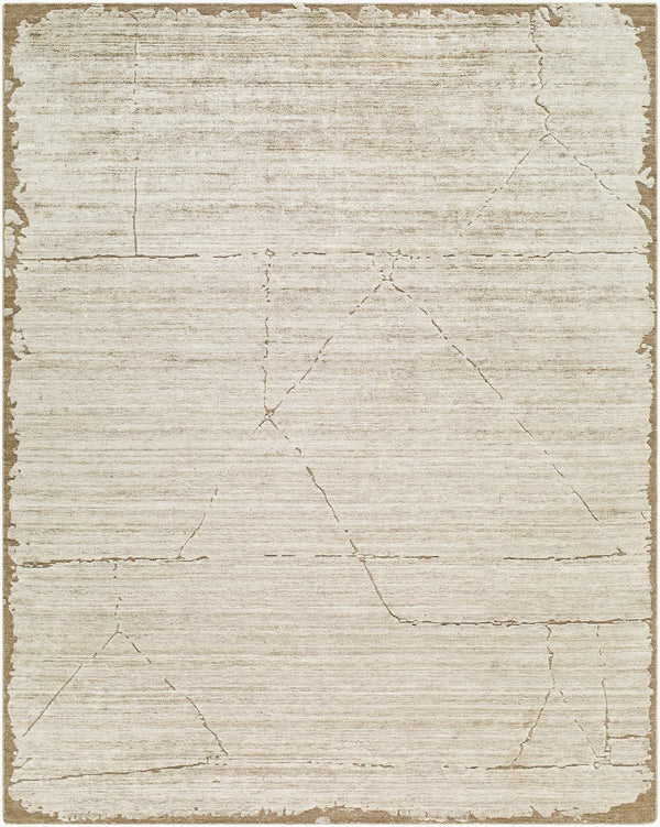 surya azad azd 2302 light brown rug