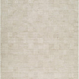 surya dilber dbr 2301 beige rug