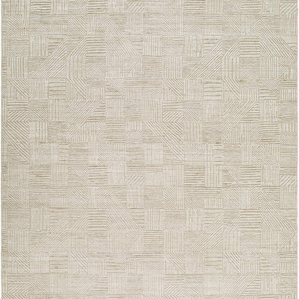 surya dilber dbr 2301 beige rug