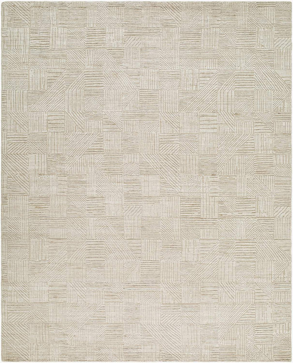 surya dilber dbr 2301 beige rug